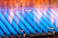 Aldenham gas fired boilers
